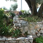 Rados * Makarska