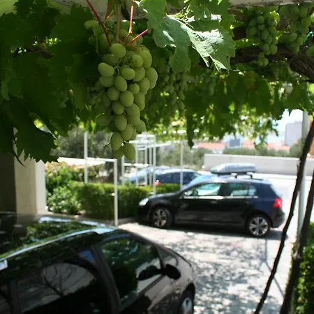 Rados * Makarska