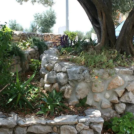 Rados * Makarska